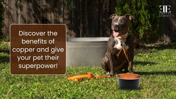 Discover the benefits of copper pet bowls - give your pet their superpower with antibacterial hydration by Embers Elements
