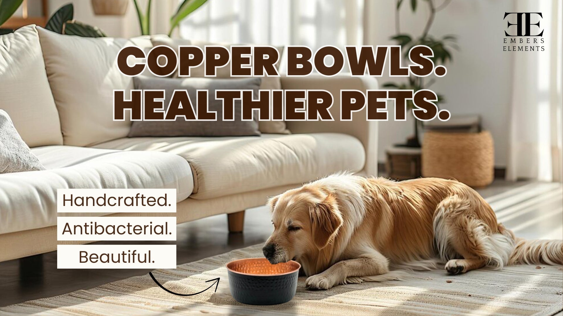 Why Copper Pet Bowls Are the Healthiest Choice for Your Furry Friend