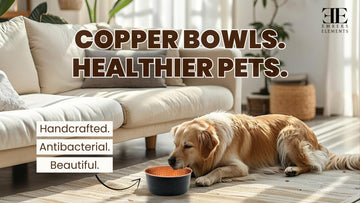 Why Copper Pet Bowls Are the Healthiest Choice for Your Furry Friend