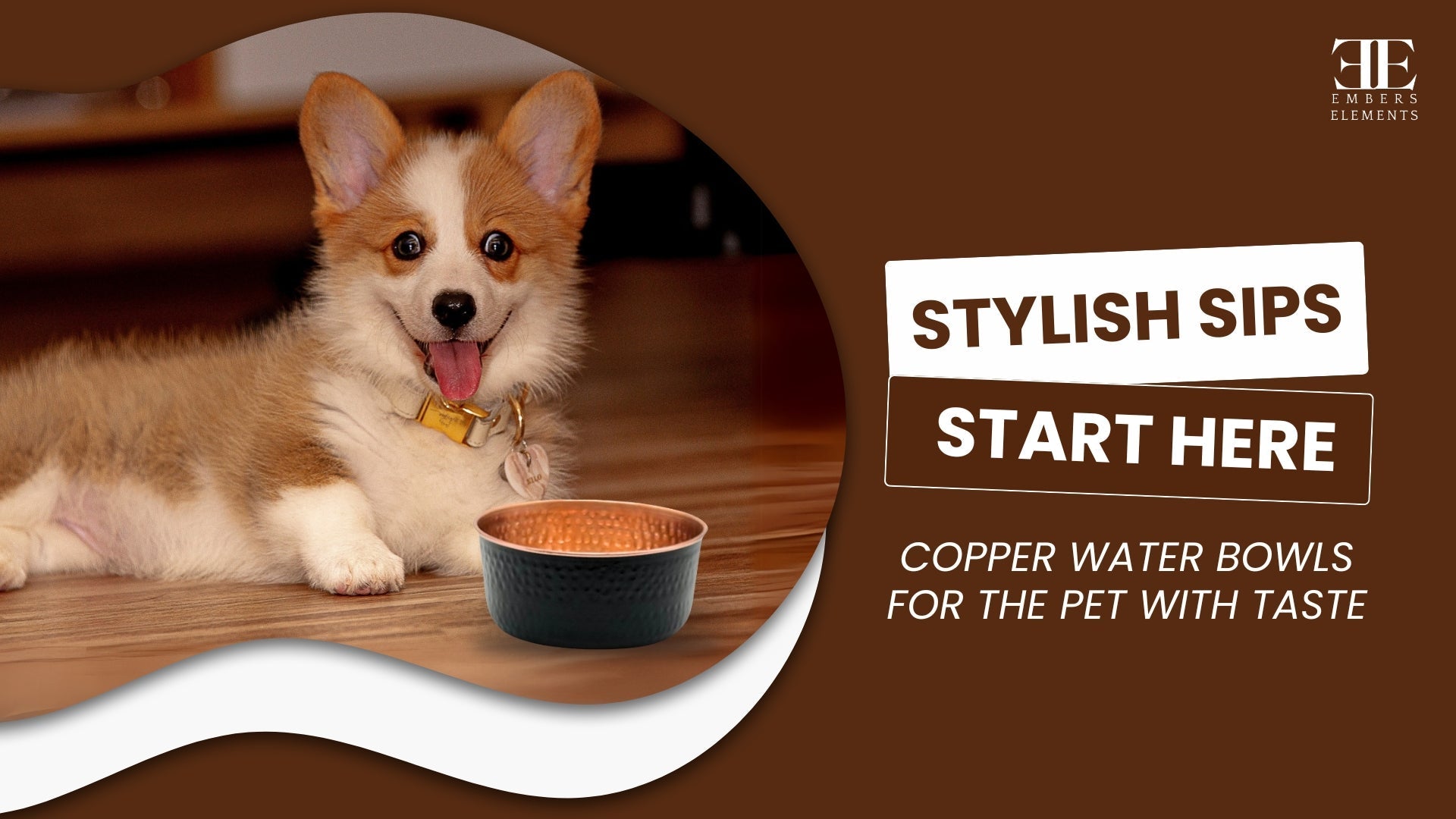 Can a Water Bowl Be Stylish? Copper Says Yes