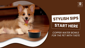 Can a Water Bowl Be Stylish? Copper Says Yes
