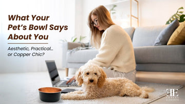 The Secret Social Life of Pet Water Bowls: What Your Bowl Says About You