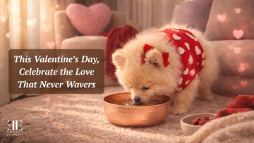 This Valentine’s Day, Don’t Forget the One Who Loves You Most