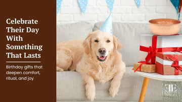 5 Thoughtful Birthday Gifts for Pets (Because They Deserve Something Special Too)