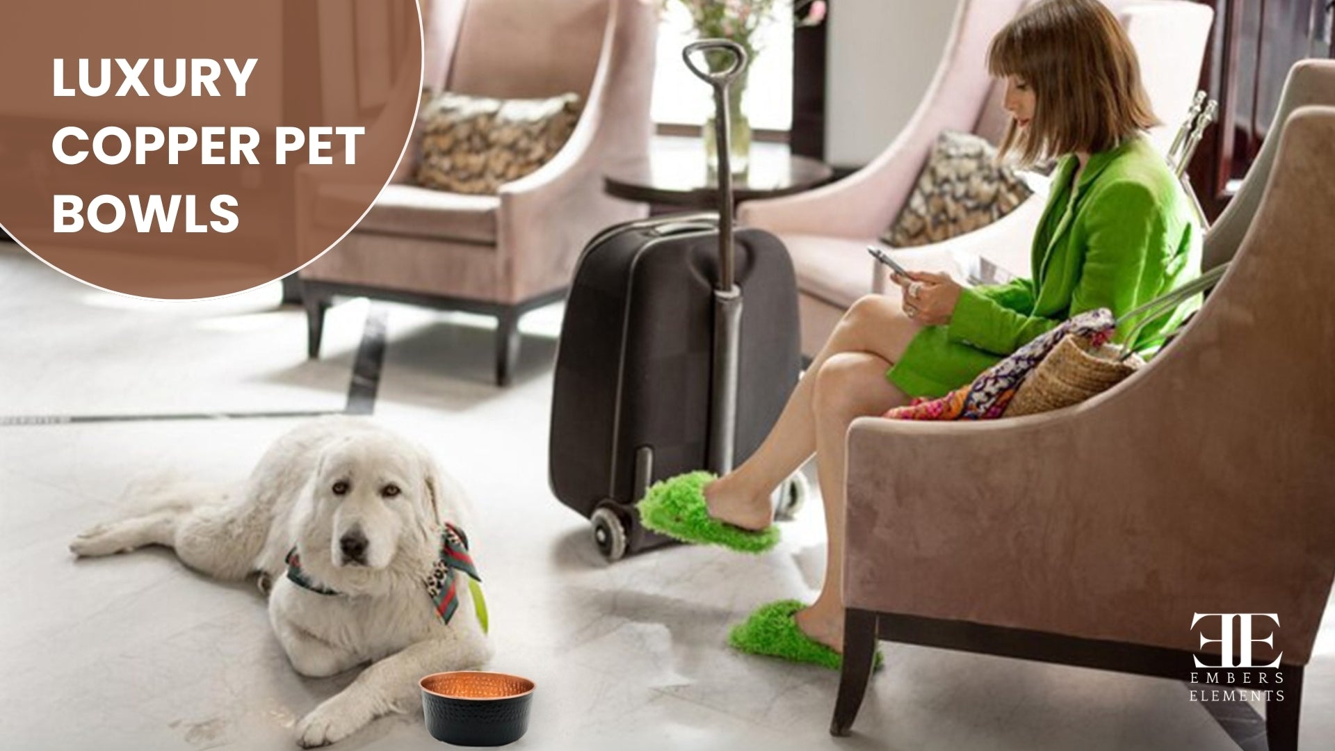 Luxury copper pet bowls for dogs and cats - elegant, antibacterial, and functional by Embers Elements