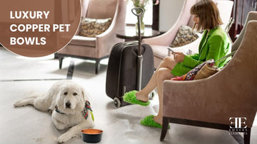 Luxury copper pet bowls for dogs and cats - elegant, antibacterial, and functional by Embers Elements