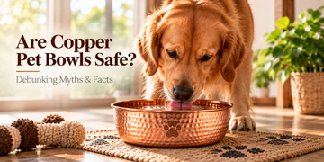 Copper Pet Bowls