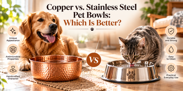 Copper vs. Stainless Steel 