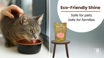 Eco-friendly shiny copper pet bowls - safe for pets and families by Embers Elements