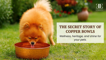 The secret story of copper pet bowls - wellness, heritage, and shine for your pets by Embers Elements