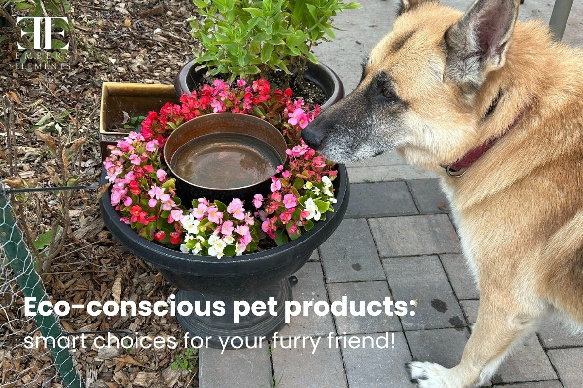 Eco-Friendly Pet Accessories: A Sustainable Choice for Your Furry Friends