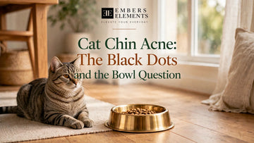 Embers Elements blog cover: cat chin acne, the black dots and the bowl question — tabby cat beside a brass food bowl