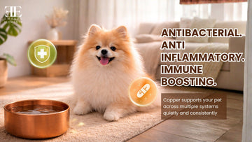 Copper for Pets: Benefits, Risks, and What Every Pet Owner Must Know