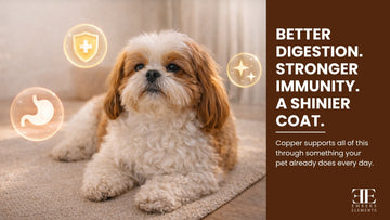 How Copper Water Bowls Improve Your Pet’s Health Naturally