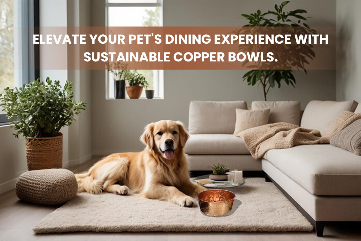Sustainable copper pet bowls to elevate your pet's dining experience - stylish and eco-friendly by Embers Elements