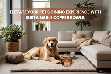 Sustainable copper pet bowls to elevate your pet's dining experience - stylish and eco-friendly by Embers Elements