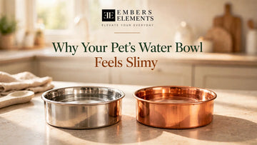 Embers Elements blog cover: why your pet's water bowl feels slimy — stainless steel and copper water bowls on a kitchen counter
