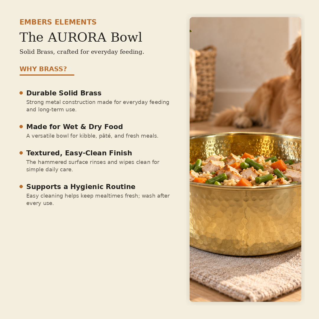 Benefits of solid brass pet food bowls