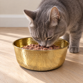 Gray cat eating wet food from the AURORA hand-hammered brass pet food bowl on a wood floor