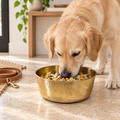 Golden Retriever eating a rice, chicken, and vegetable meal from the AURORA hand-hammered brass pet food bowl