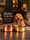Goldendoodle lying beside the AURORA hand-hammered copper pet water bowl and hammered brass pet food bowl, Better Together Dining Set
