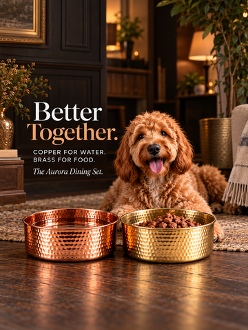 Goldendoodle lying beside the AURORA hand-hammered copper pet water bowl and hammered brass pet food bowl, Better Together Dining Set