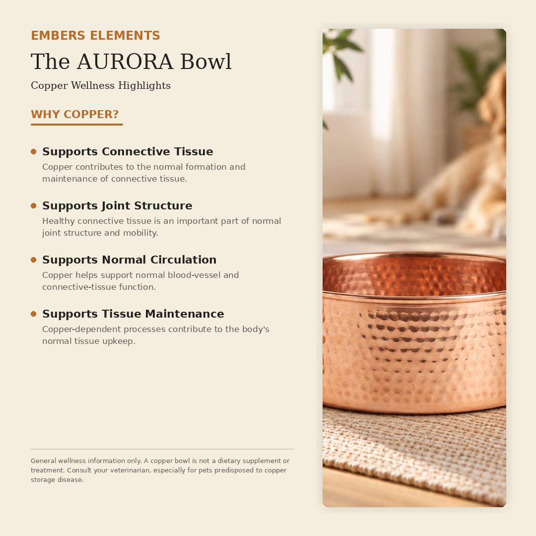 AURORA hand-hammered pure copper pet water bowl health benefits card: naturally antibacterial, supports immune system, joint health, coat condition and digestion
