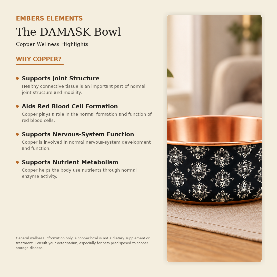 DAMASK hand-hammered copper pet water bowl health benefits card: naturally antimicrobial, supports digestion, naturally cooling