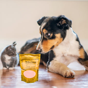 Dog and cat looking at a 'Perfect Polish' product on a wooden floor.