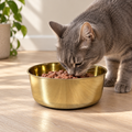 DUNE smooth-finish brass pet food bowl filled with beef and carrot stew, studio shot