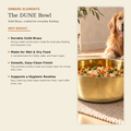 DUNE smooth-finish solid brass pet food bowl benefits: sturdy weighted base, tip-resistant, durable reusable alternative to plastic or ceramic bowls