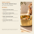 DUNE smooth-finish solid brass pet food bowl feeding hygiene tips: easy hand wash, quick dry, avoid dishwasher and extended soaking