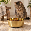 DUNE smooth-finish brass pet food bowl with the Embers Elements logo engraved inside, dark studio background