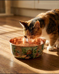 Kitten drinking from a PALACE copper pet bowl on a wood floor