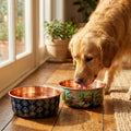 Dog drinking from a DAMASK copper pet water bowl outdoors