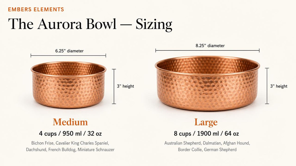 The Aurora Bowl sizing chart comparing Medium 32oz and Large 64oz hammered copper pet bowls - Embers Elements
