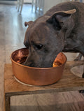 Brindle dog drinking water from a hammered copper bowl on a wooden stand - Embers Elements