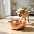 Labrador puppy next to AURORA hand-hammered copper water bowl