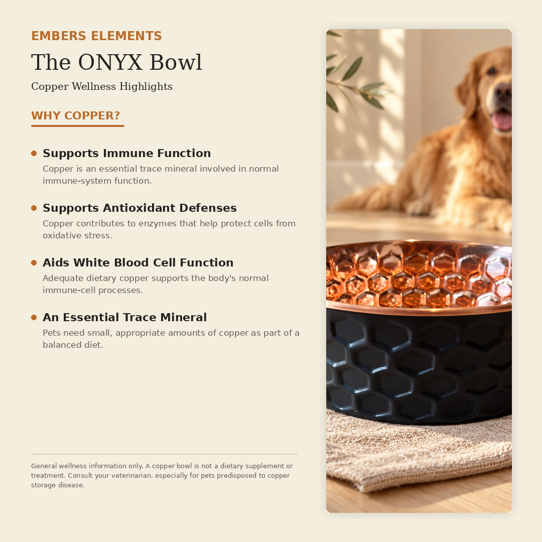 ONYX black honeycomb-hammered pure copper pet water bowl health benefits: naturally antibacterial, supports immune system, joint health, coat condition and digestion