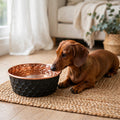 Dachshund lying beside an ONYX black honeycomb-hammered 99.9% pure copper dog water bowl on a woven mat, by Embers Elements