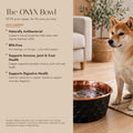 ONYX copper dog water bowl benefits infographic — Shiba Inu sitting beside a black honeycomb 99.9% pure copper bowl; naturally antibacterial, BPA-free, supports immune, joint, coat and digestive health