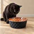 Black cat sitting beside the ONYX black diamond-hammered copper pet bowl on a wood floor