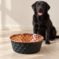 Black Labrador sitting behind the ONYX black diamond-hammered copper pet bowl on a tile floor