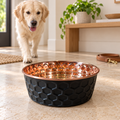 Golden Retriever walking toward the ONYX black diamond-hammered copper pet bowl in a sunlit entryway