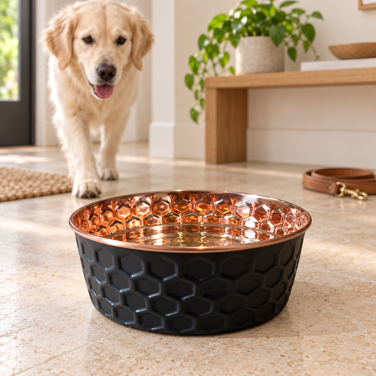 Golden Retriever walking toward the ONYX black diamond-hammered copper pet bowl in a sunlit entryway