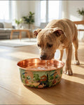 Pit Bull drinking water from a PALACE hand-painted peacock and elephant 99.9% pure copper dog water bowl on a kitchen counter, part of the Embers Elements copper bowl and Perfect Polish combo