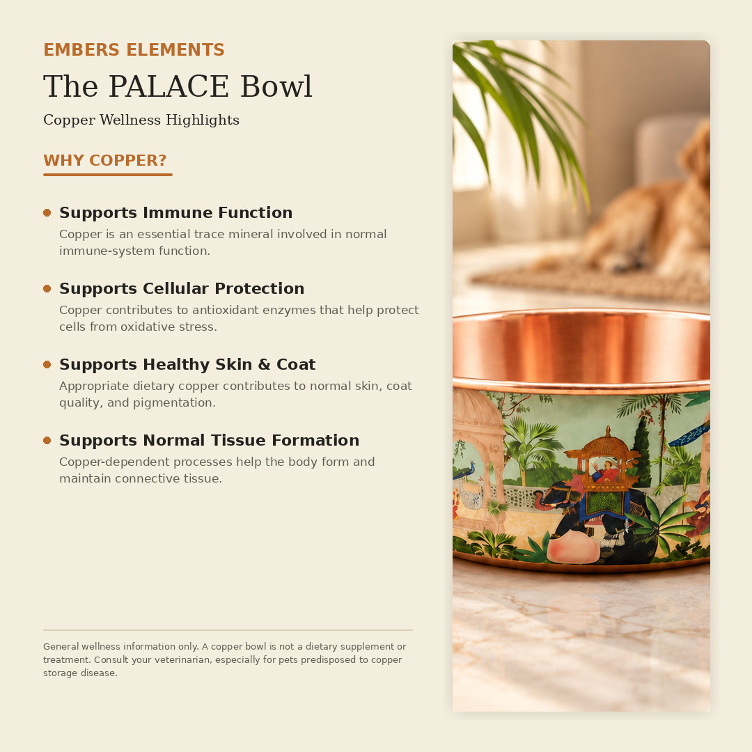 PALACE hand-hammered copper pet water bowl health benefits, shown with the Perfect Polish cleaner bundle: naturally antimicrobial, supports digestion, naturally cooling