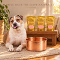 Perfect Polish copper cleaner 3-pack bundle: bring back the glow naturally on copper pet bowls