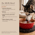 RUBY copper dog water bowl benefits infographic — Siberian Husky drinking from a red honeycomb 99.9% pure copper bowl; naturally antibacterial, BPA-free, supports immune, joint, coat and digestive health