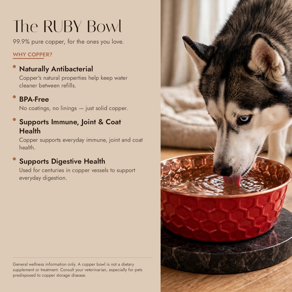 RUBY copper dog water bowl benefits infographic — Siberian Husky drinking from a red honeycomb 99.9% pure copper bowl; naturally antibacterial, BPA-free, supports immune, joint, coat and digestive health
